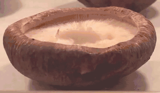 这些公认的“降压菜”，护肝降压效果好，几块钱能炒一大盘，你都吃了吗?