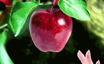 这些公认的“降压菜”，护肝降压效果好，几块钱能炒一大盘，你都吃了吗?