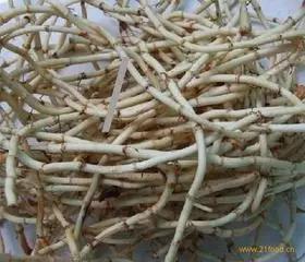 它是“天然抗生素”，不仅能消炎抗菌，还能治疗痛风，春天不吃太可惜