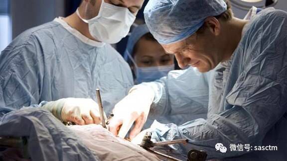 善待你的肠道菌群吧,它们将决定抗癌药是否有效果