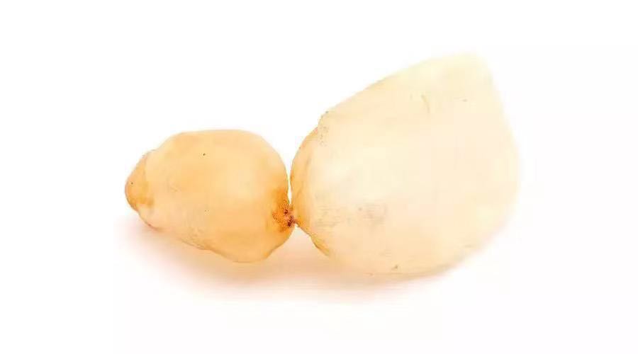 鱼的这个部位有毒,千万别吃啦!