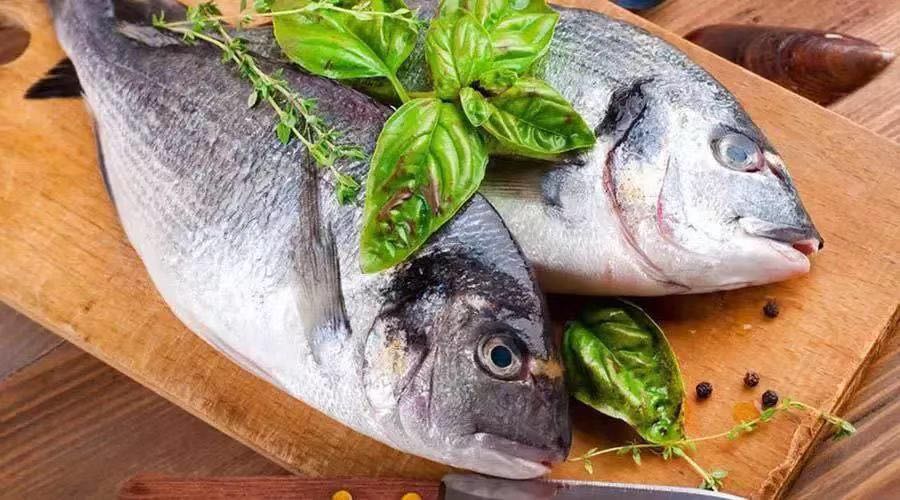 鱼的这个部位有毒,千万别吃啦!