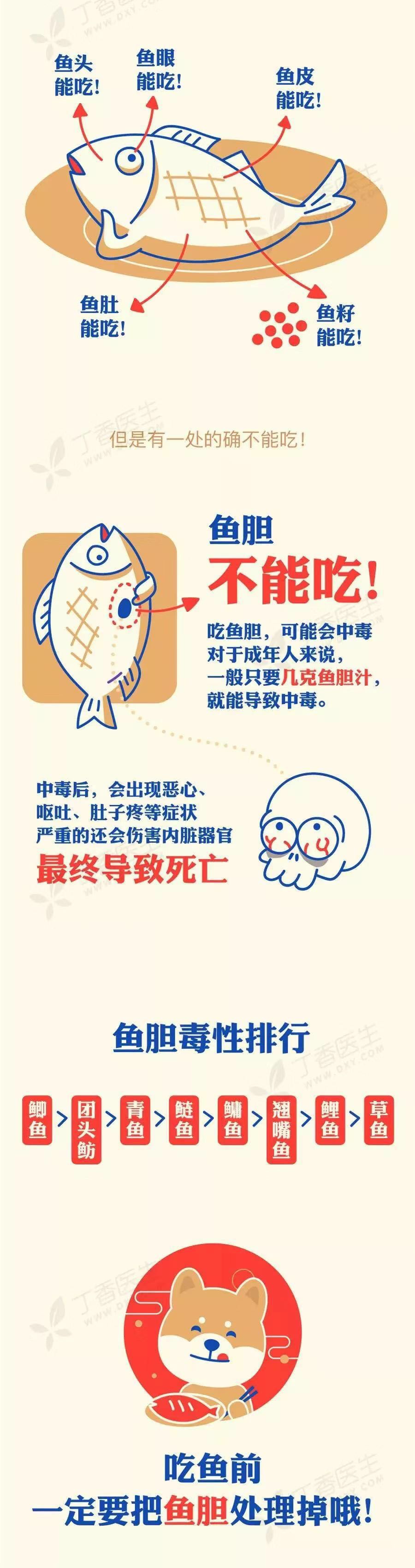 鱼的这个部位有毒,千万别吃啦!