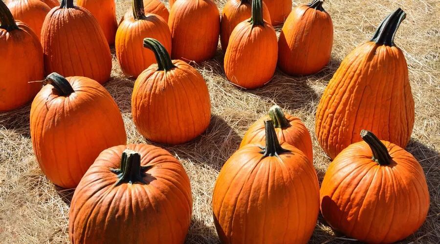 早餐决定气色？这五种食物告诉你答案