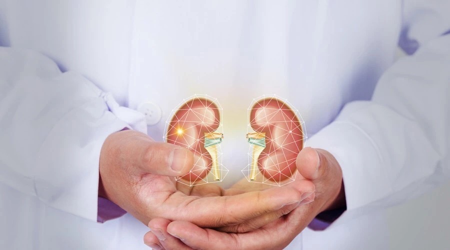 尿里泡沫多，警惕三种病