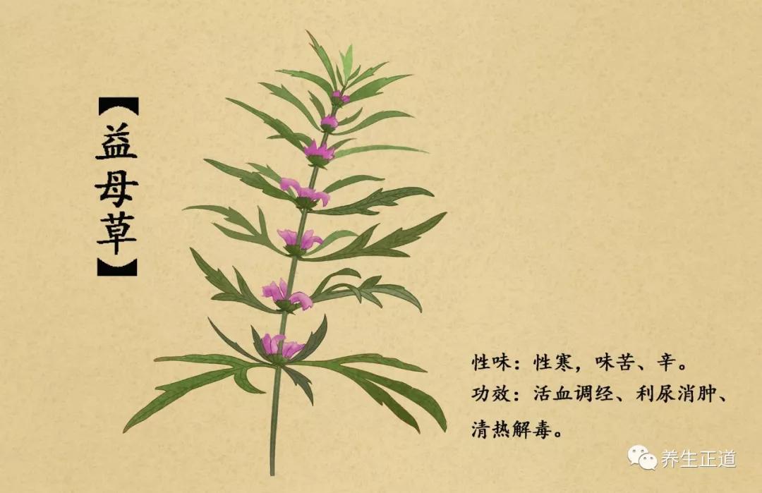 痛风、糖尿病、肾炎等肾病的简易食疗方