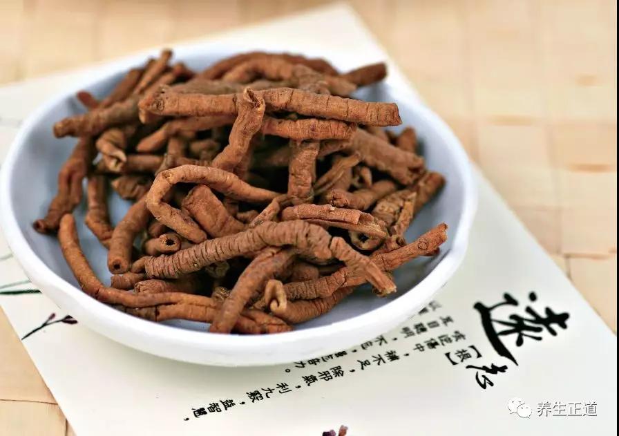 每天认识一味中药——远志