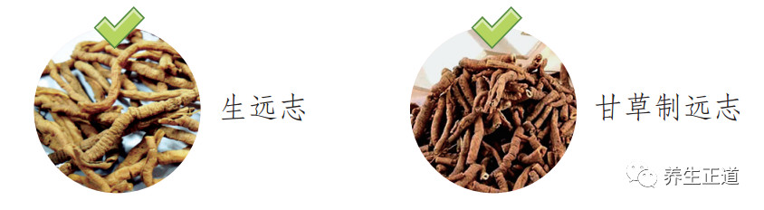 每天认识一味中药——远志