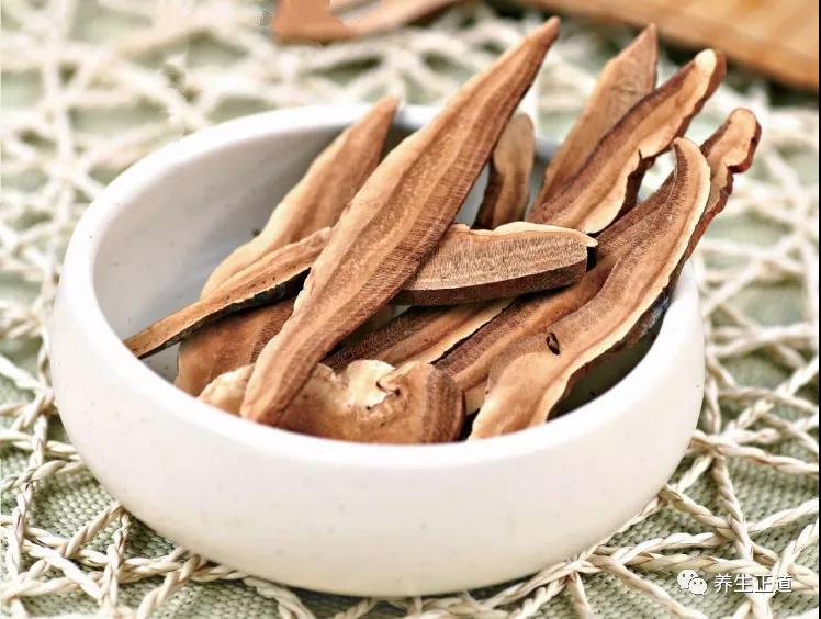 每天认识一味药——灵芝