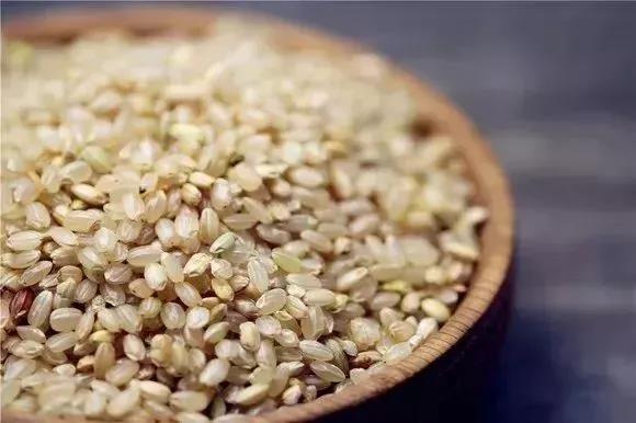 主食吃太少，会减寿？！