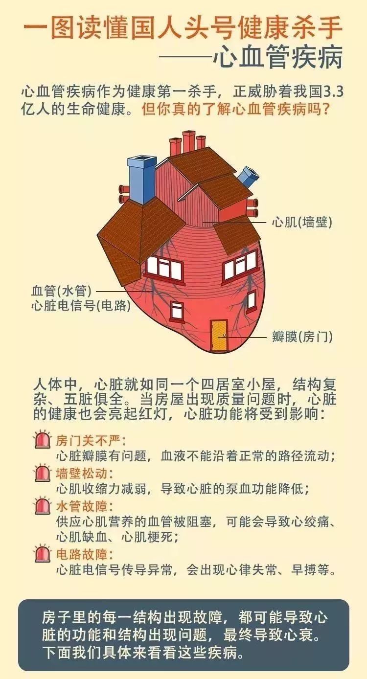 心血管疾病，国人头号健康杀手，你了解吗？