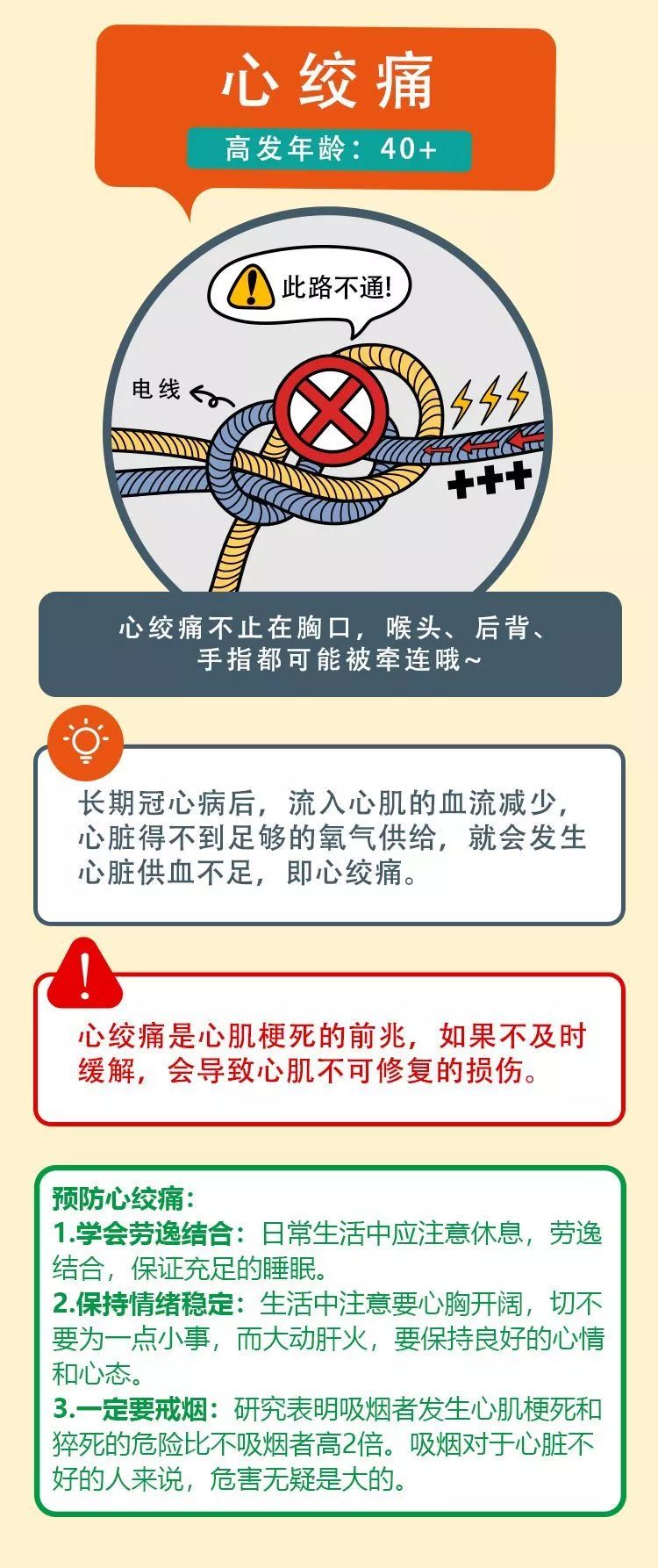 心血管疾病，国人头号健康杀手，你了解吗？