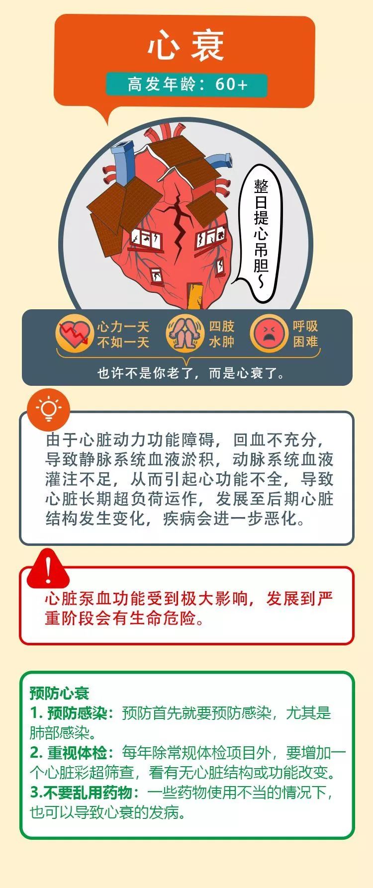 心血管疾病，国人头号健康杀手，你了解吗？