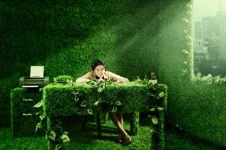 实木家具≠环保家具≠无污染家具