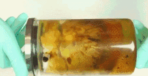 这6类食物，是致癌物的温床！国际癌症研究中心早就提醒过你了！ 