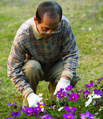 老人更需要精神护士