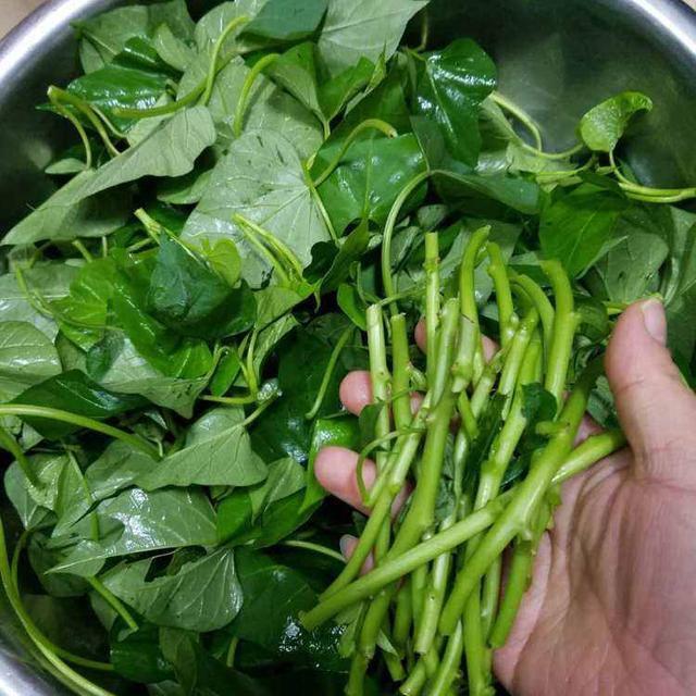 糖尿病人吃红薯叶，能够降血糖？老人经常吃，身体会收获4种好处