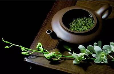 【茶】茶文化与养生