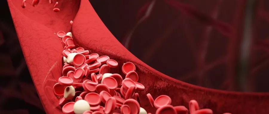 血管里根本没有“垃圾”！别被下面的谎言骗了！