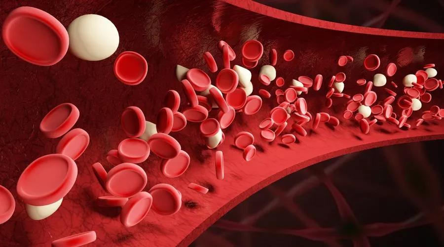 血管里根本没有“垃圾”！别被下面的谎言骗了！