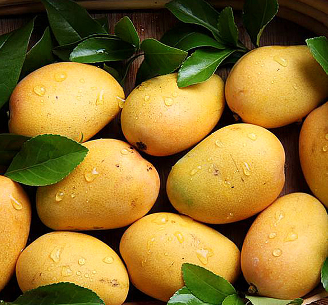 对身体最有营养的5种水果，一般人我不告诉他