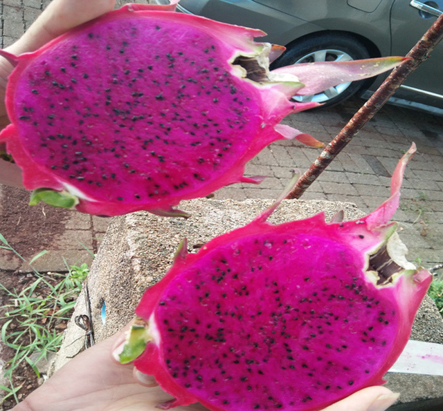 对身体最有营养的5种水果，一般人我不告诉他