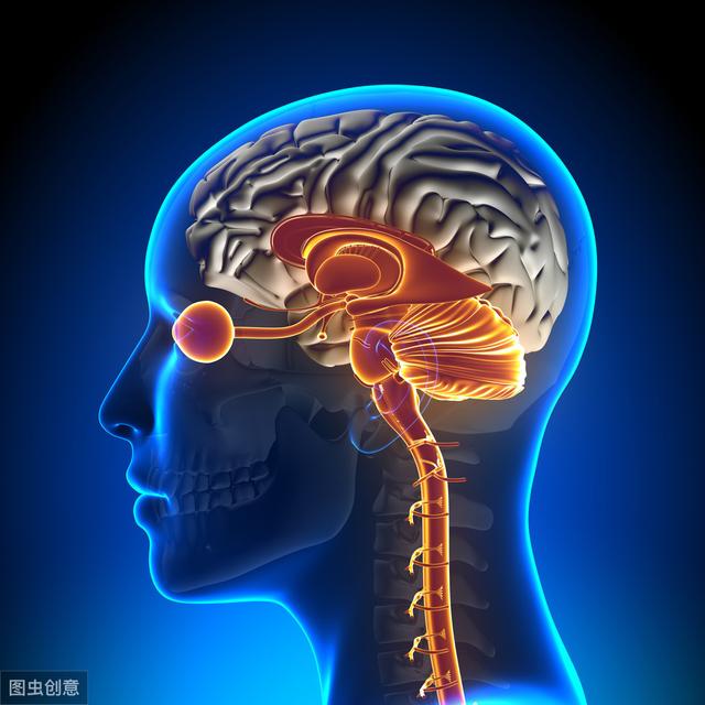 记住几大特征！多半是脑梗袭来，这3类人最好查一下