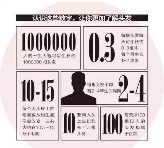 对于脂溢性脱发应该采用“食疗”还是“药疗”