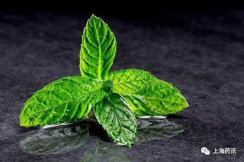 薄荷的妙用