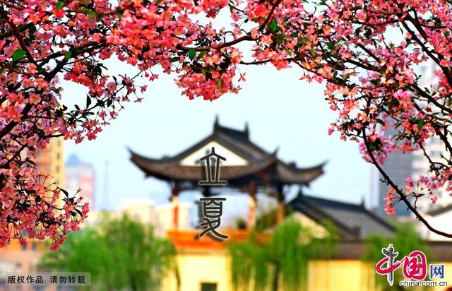 立夏丨推荐六种养生食物