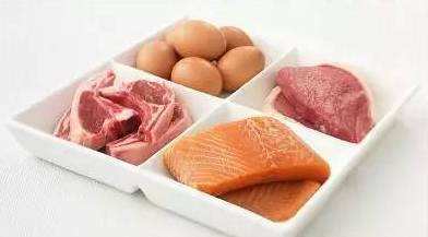 研究揭示高蛋白饮食为什么会缩短寿命！ 如何饮食更健康