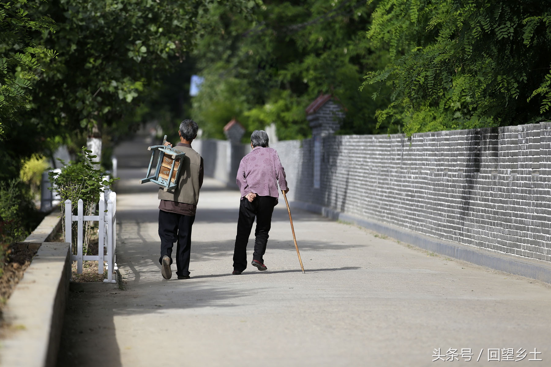 这两位老人“告诉”我：生活的路上虽不尽是鲜花，只要有温馨相伴