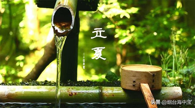 立夏吃什么？这几种应景的蔬菜不要错过！此时此刻最鲜美