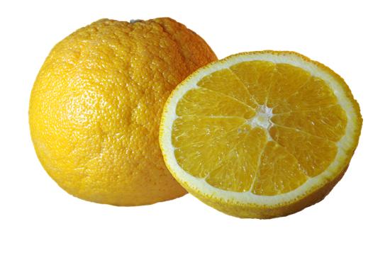 提高免疫力，你一定要知道的七大元素。