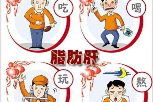 如何科学的预防脂肪肝？养成良好的饮食习惯