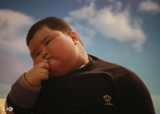 做合格的吃货，荤菜虽好，可不能贪吃