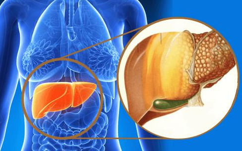 大小便出现这种变化，说明你的肝病开始恶化