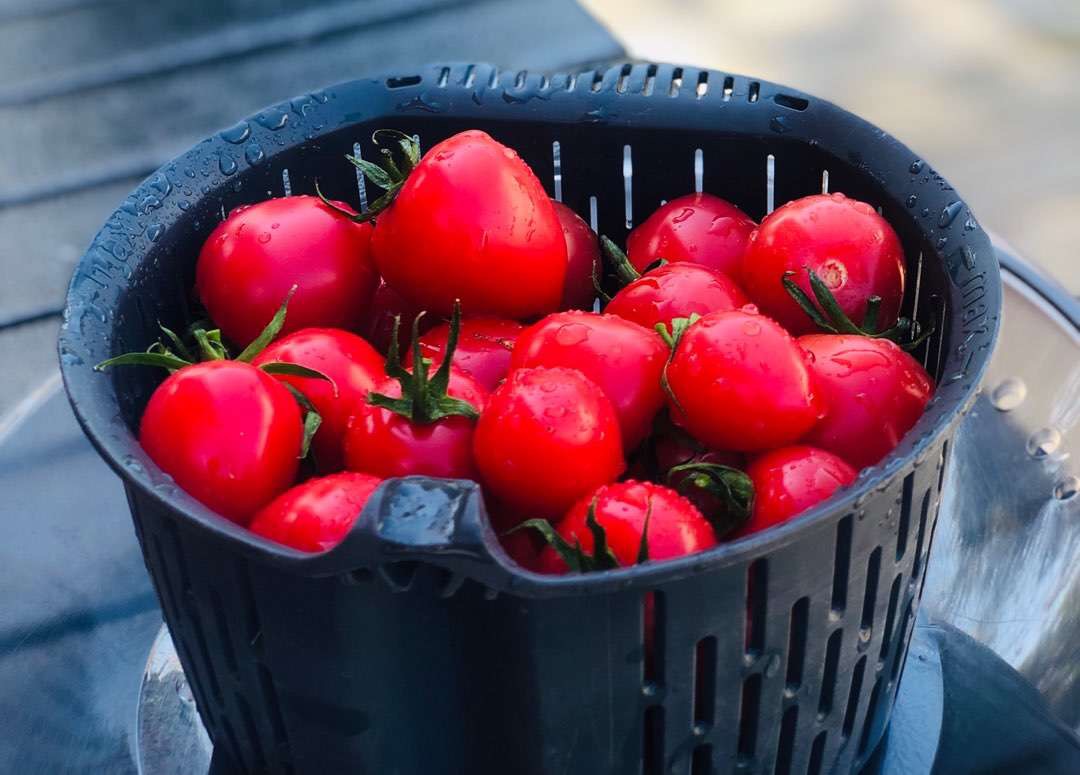 西红柿功效太强大了！