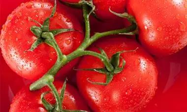 西红柿功效太强大了！