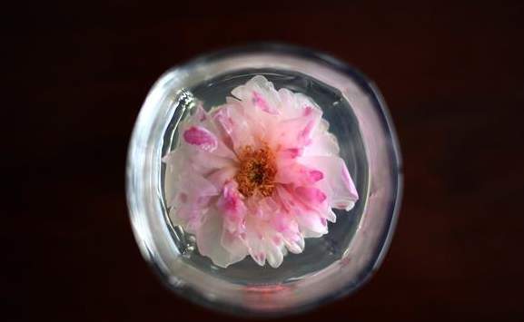 人生八大雅事，琴棋书画诗酒茶