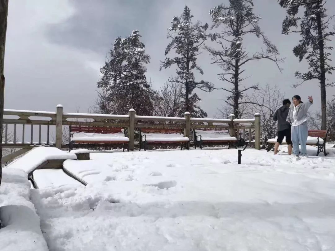 西岭雪山立夏后降雪！近10年第一次！