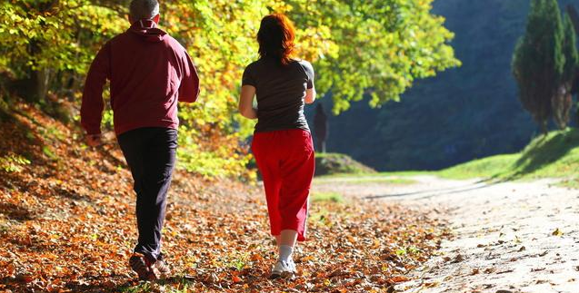 免疫力——身体最强防线