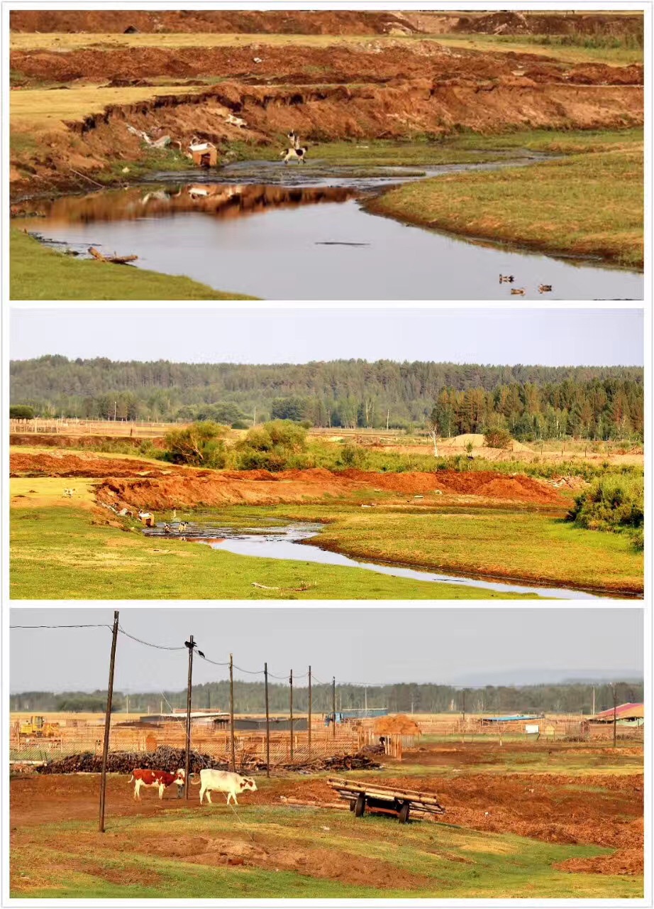 人生最美的风景莫过于和心爱的人一起相伴到老！