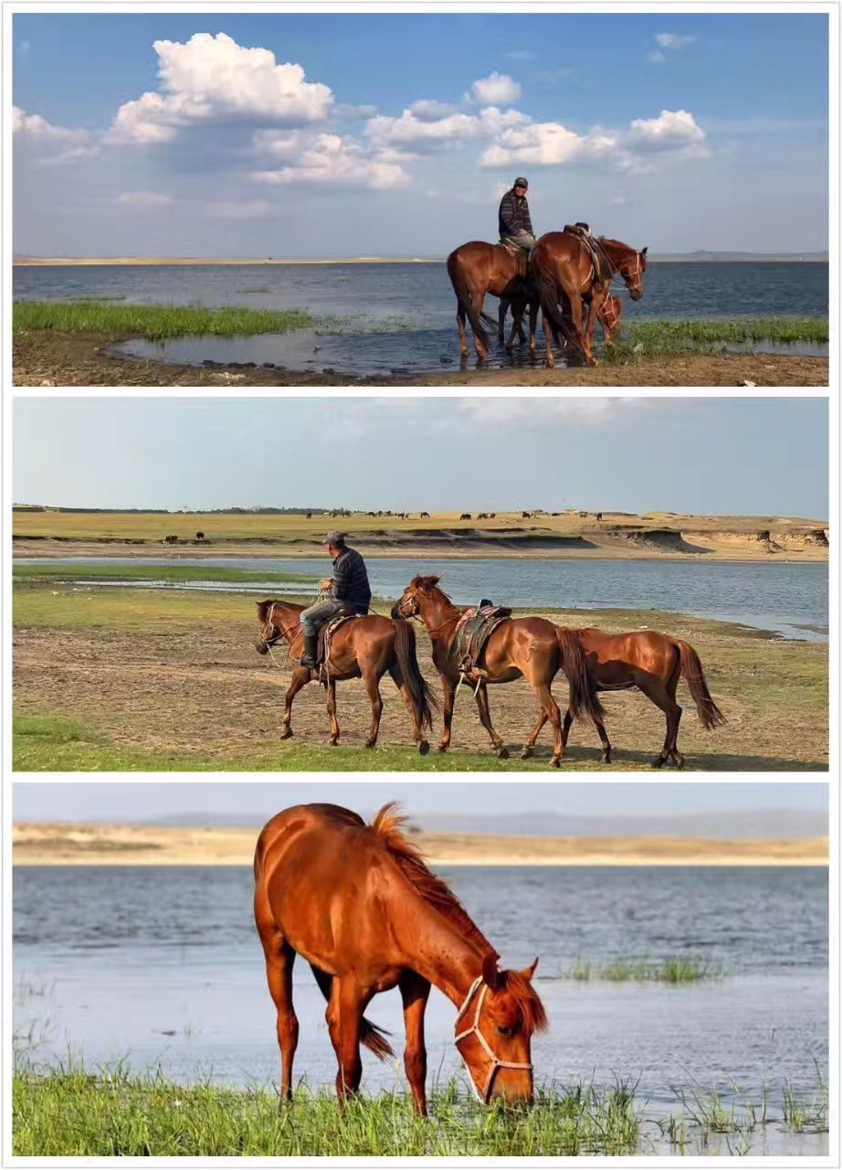 人生最美的风景莫过于和心爱的人一起相伴到老！