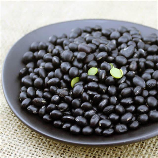 黑豆的十大惊人功效 有些大家还不知道的