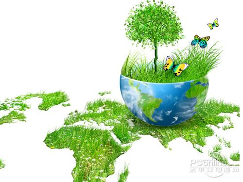 绿色环保的生活方式
