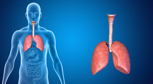 确诊肺癌，“天不能塌”！及早做好10件事，实现治愈大有可能