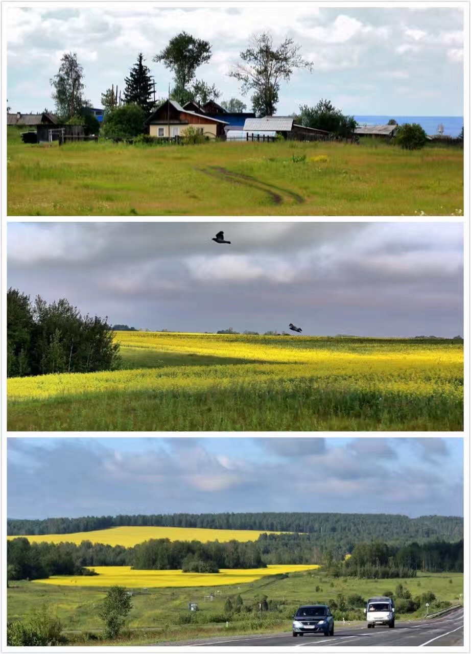 陪伴是最长情的告白，相伴余生的银婚老人