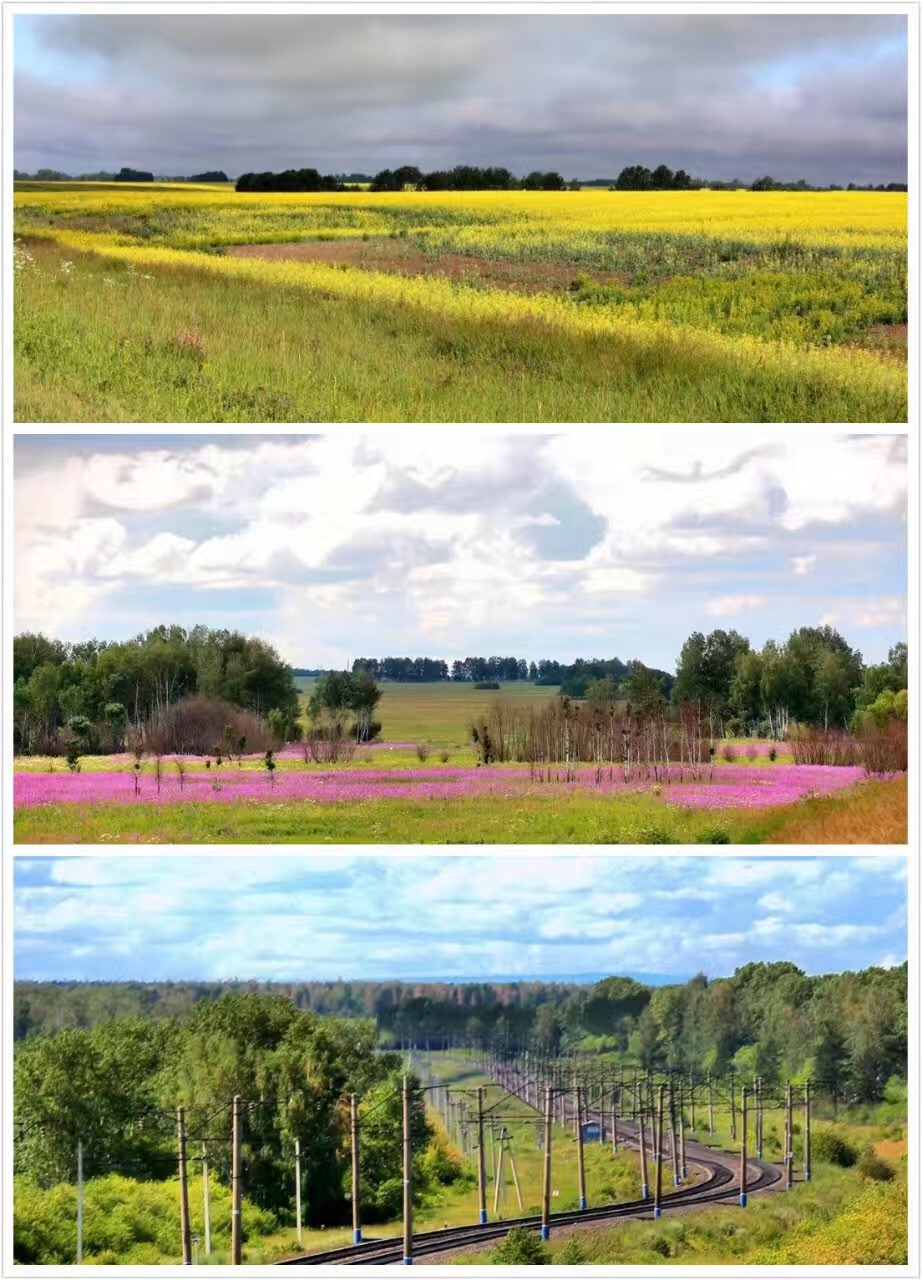 陪伴是最长情的告白，相伴余生的银婚老人