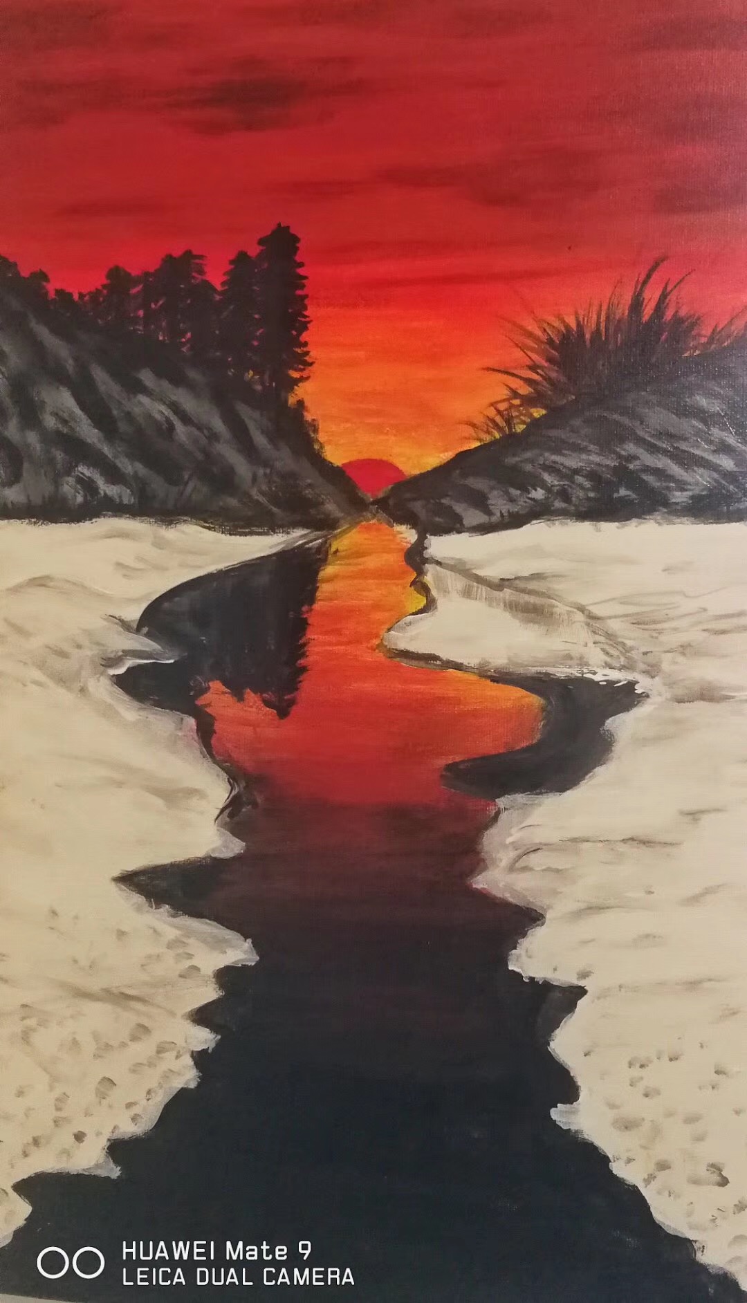 一位退休在家的老人初学画画的作品分享给大家